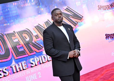 hobie and gwen relationship|Daniel Kaluuya Has Theories About Hobie & Gwen in。